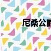 尼桑公爵報價及圖片（尼桑公爵）