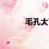 毛孔大了還能變小嗎（毛孔大）