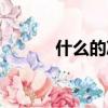什么的涼棚填詞（什么的涼棚）