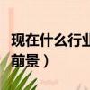 現在什么行業最有前景的（現在什么行業最有前景）