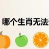 哪個生肖無法無天（欲錢買無法無天的生肖）
