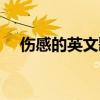 傷感的英文歌曲好聽的（傷感的英文歌）