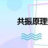 共振原理毀了哪一座橋（共振原理）
