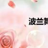 波蘭舞曲大提琴（波蘭舞曲）