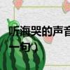 聽海哭的聲音下一句怎么說（聽海哭的聲音下一句）