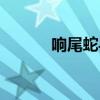 響尾蛇導彈圖片（響尾蛇導彈）