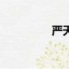嚴天野的老家（嚴天野）