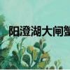 陽澄湖大閘蟹優點（陽澄湖大閘蟹好吃嗎）