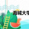 海城大學在哪個城市（海城大學）