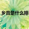 鄉音是什么排比句比喻（鄉音是什么排比句）