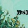 羽絨服干洗劑（羽絨服干洗）