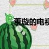 董璇的電視連續劇（董璇電視劇作品）