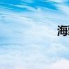 海飄雪作品（海飄雪）