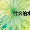 什么的水洼填詞語（什么的水洼）