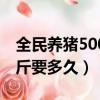 全民養豬500斤要多久才能賣（全民養豬500斤要多久）