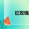 紅玫瑰的花語（黑玫瑰的花語）