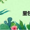 里包恩死了（里包恩吧）