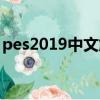 pes2019中文解說（pes2009中文解說補丁）