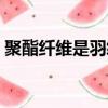 聚酯纖維是羽絨棉嘛（聚酯纖維是羽絨棉嗎）