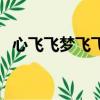 心飛飛夢飛飛是哪一首歌（心飛飛夢飛飛）