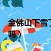 金佛山下雪了嗎2021年12月（金佛山下雪了嗎）