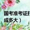 國考準考證打印出來什么樣（國考準考證打印成多大）