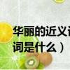 華麗的近義詞是什么 標準答案（華麗的近義詞是什么）