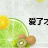 愛了才懂吉他譜（愛了才懂）