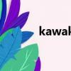 kawaks1.45（kawaks1 45）