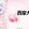 西摩犬多少錢一只（西摩犬）