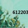 612203042找規律填數（6122）