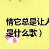 情它總是讓人痛是什么歌詞（情它總是讓人痛是什么歌）