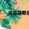 肯德基薯條的制作方法（肯德基薯條）