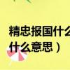 精忠報國什么意思可以形容哪些人（精忠報國什么意思）