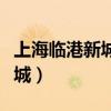 上海臨港新城投資建設有限公司（上海臨港新城）
