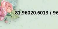 81.96020.6013(96020088)