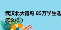 武漢北大青鳥 85萬學生選擇(武漢北大青鳥怎么樣)