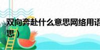 雙向奔赴什么意思網絡用語(雙向奔赴什么意思)