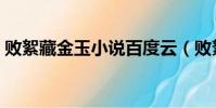 敗絮藏金玉小說百度云(敗絮藏金玉百度云)
