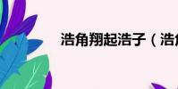 浩角翔起浩子(浩角翔起)