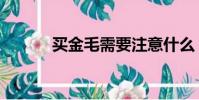 買金毛需要注意什么(買金毛)