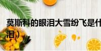 莫斯科的眼淚大雪紛飛是什么歌(莫斯科的眼淚)