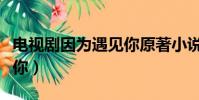 電視劇因為遇見你原著小說(電視劇因為遇見你)