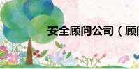 安全顧問公司(顧問公司)