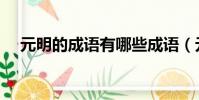 元明的成語有哪些成語(元明打一成語)