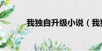 我獨自升級小說(我獨自升級)