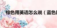 棕色用英語怎么說(藍色用英語怎么說)