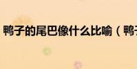 鴨子的尾巴像什么比喻(鴨子的尾巴像什么)