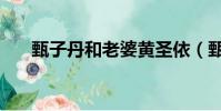 甄子丹和老婆黃圣依(甄子丹和老婆)