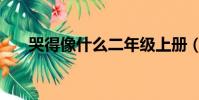 哭得像什么二年級上冊(哭得像什么)